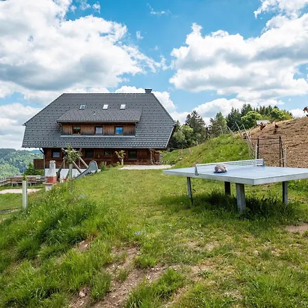 Appartement Paradieshof Schonach im Schwarzwald