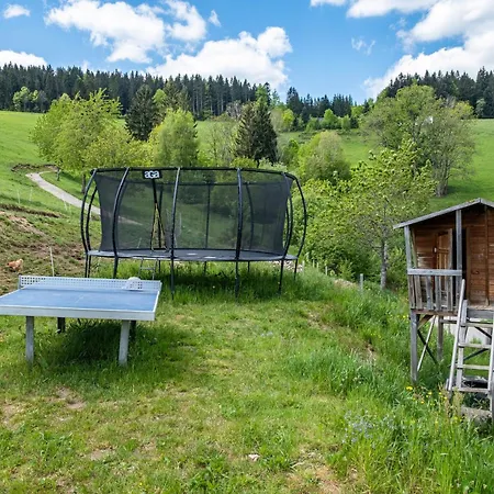 Appartement Paradieshof Schonach im Schwarzwald