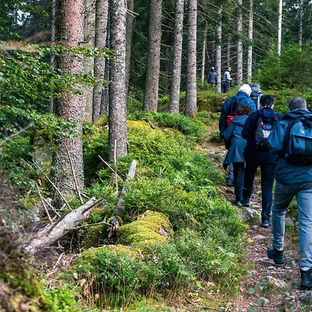 Paradieshof Schonach im Schwarzwald